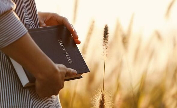 bible