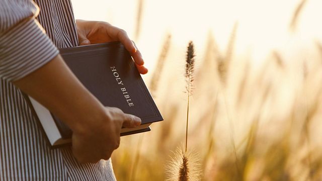 bible