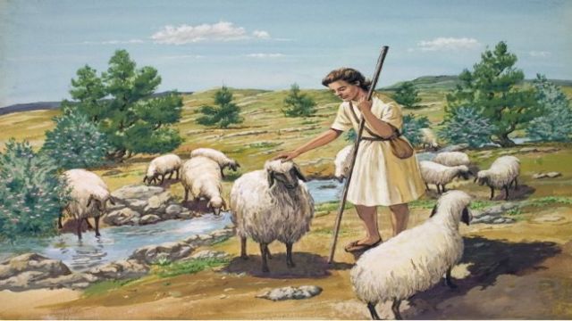 david-shepherd