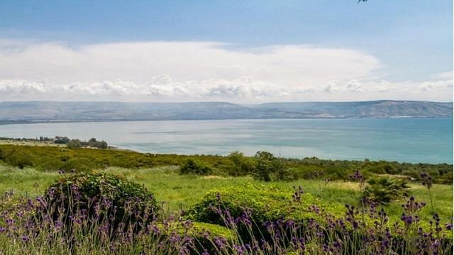 Galilee