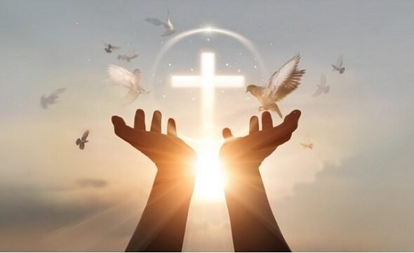 cross_dove