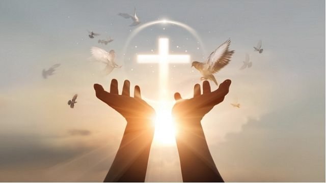 cross_dove