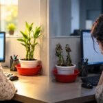 office plant