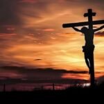 tcn_cross
