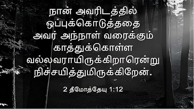 timothy112